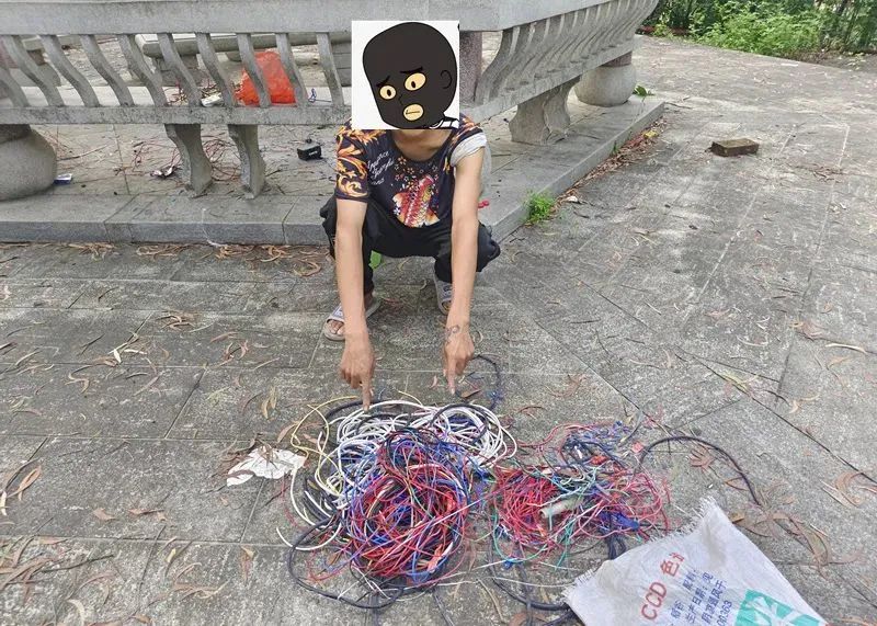 东莞近期严查什么行为,严查东莞处理结果