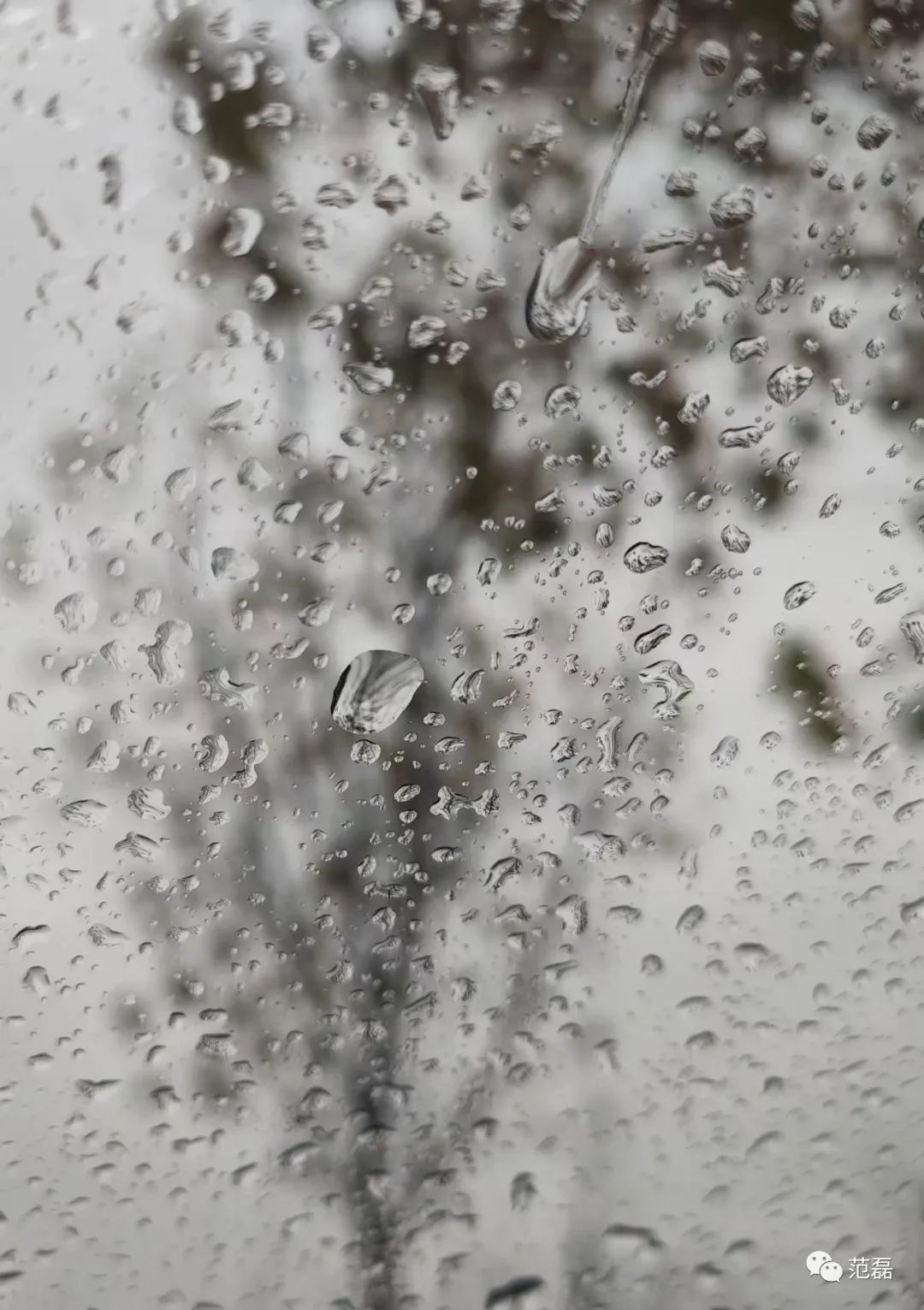 血泪教训：买相机就是折腾啊！我怎么就这样掉进单反的坑里了？