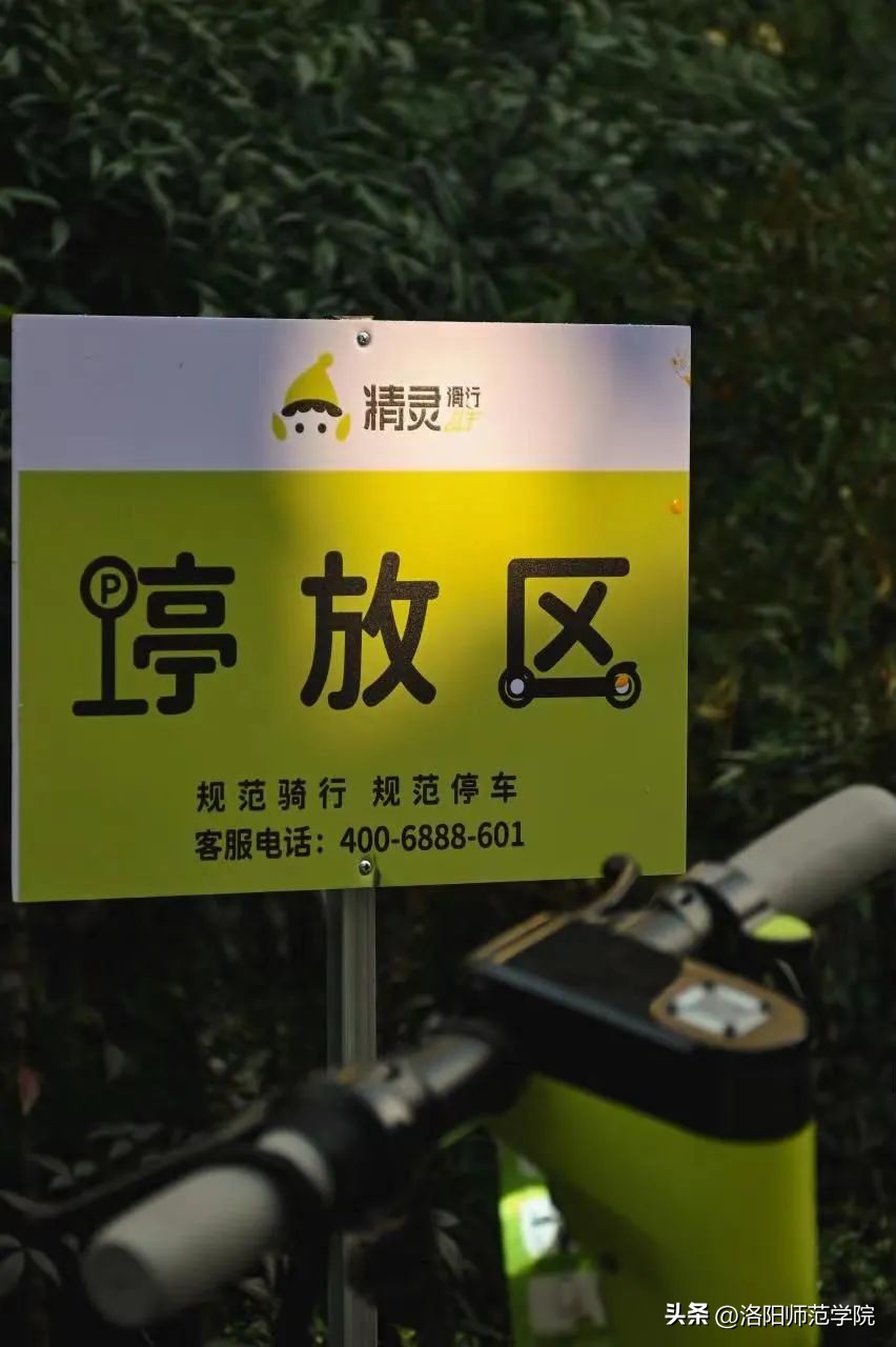 欢迎报考！选择洛师的N个理由