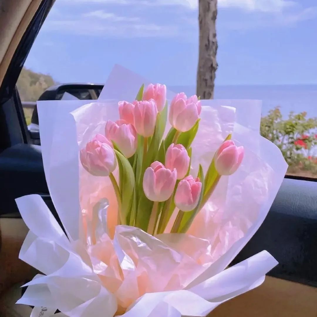 背景图ins风鲜花,ins复古黑色鲜花壁纸