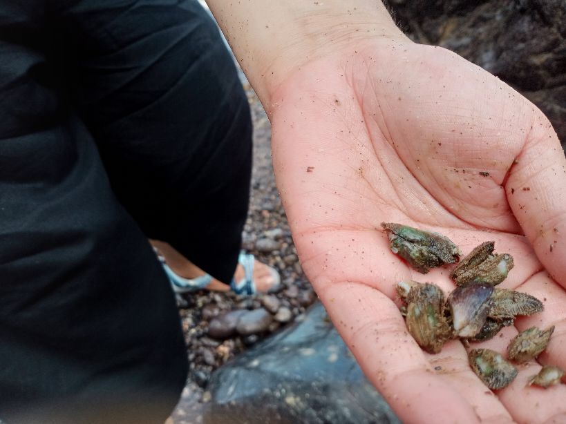 浙江蓝色的大海,浙江哪里可以看到蓝色的大海