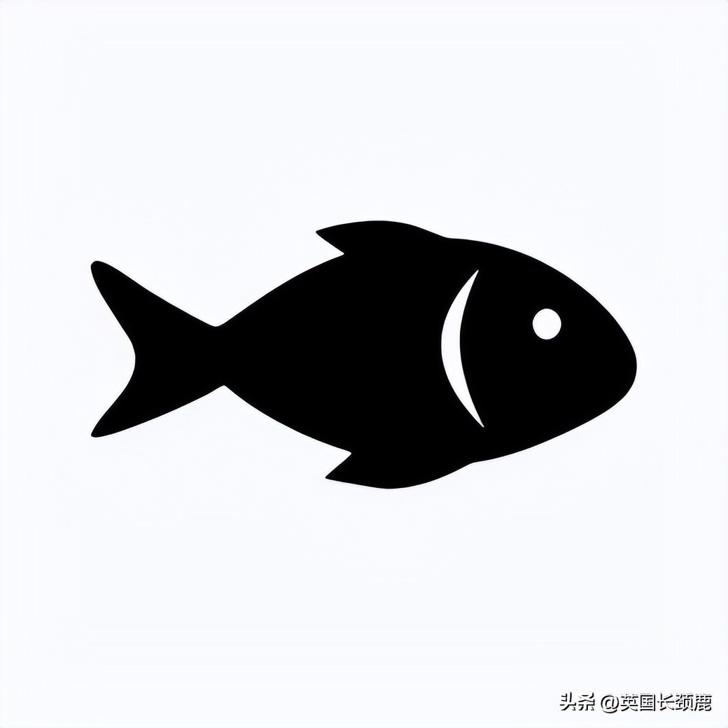 在伦敦哪里买新鲜的海鲜,伦敦海鲜市场买什么海鲜