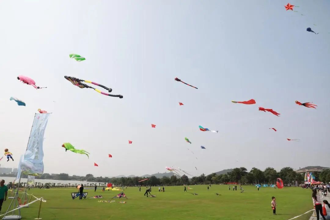 古韵新风游,古韵新风节目