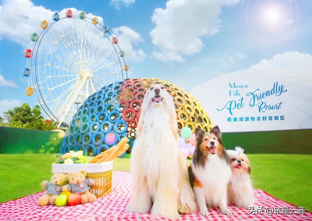 深挖人宠双向友好型空间,观澜湖集团带来哪些值得借鉴的经验?