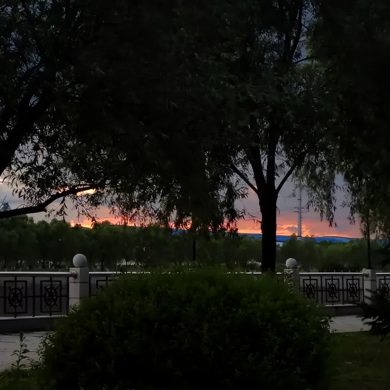 第二十八期爱情壁纸,ins浪漫壁纸高级氛围感