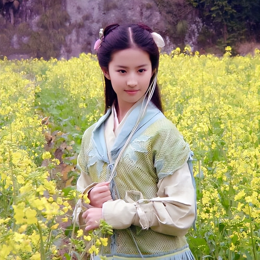 《梦华录》口碑陡转之下，颜值抗打的刘亦菲人设崩塌？