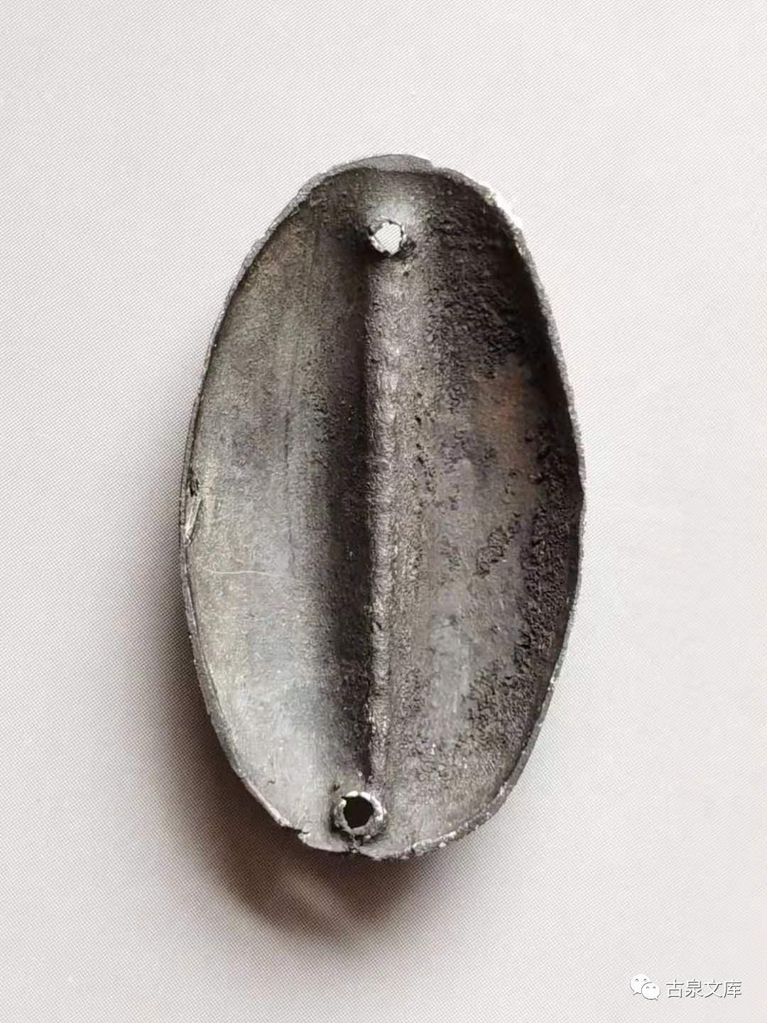 天然贝币真品价格,原始贝币发展史