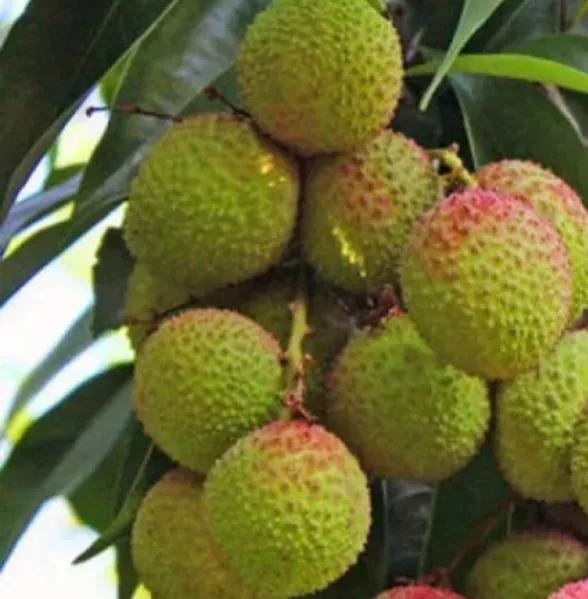 13岁女儿患重度抑郁症怎么办,13岁女儿重度抑郁症该怎么办