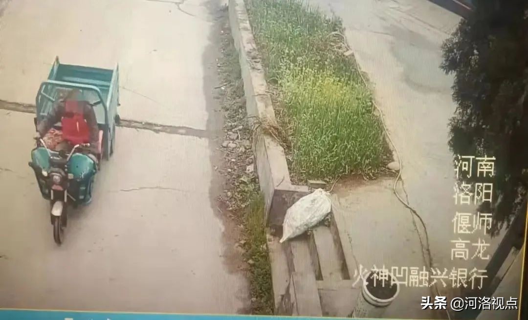 顺手牵羊盗盆景，洛阳偃师民警破案收锦旗