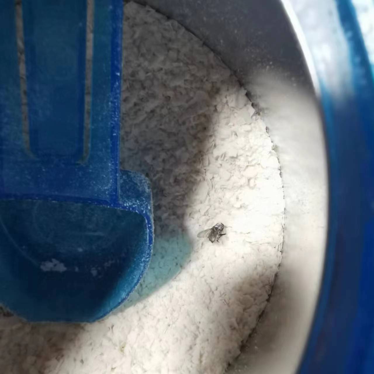 国产嘉宝米粉重金属超标真的假的,嘉宝米粉国产有问题还能吃吗