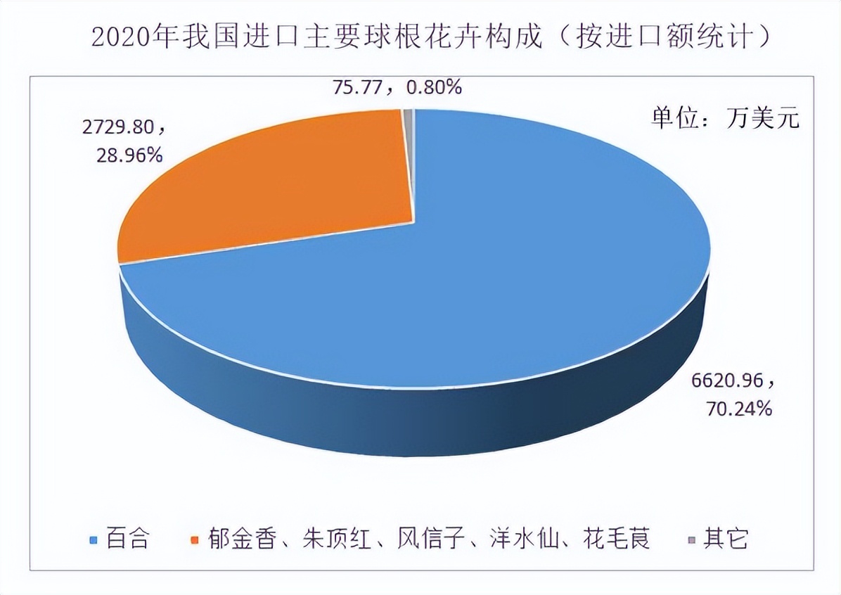 种的百合,种好百合最大的难题是什么
