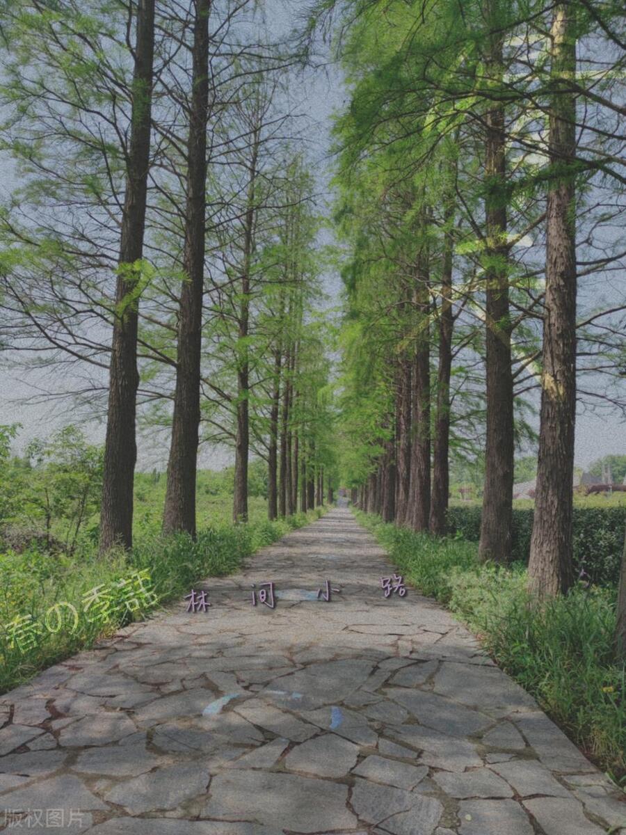 扬州景区免费景点大全,扬州旅游必去十大景点