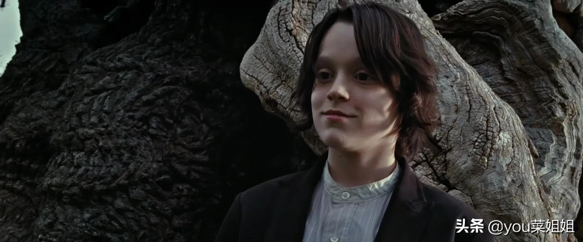 哈利波特为什么不治疗斯内普,哈利波特为什么不救斯内普