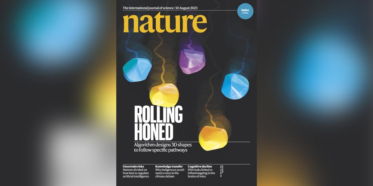 nature免疫治疗新突破,nature免疫疗法最新数据