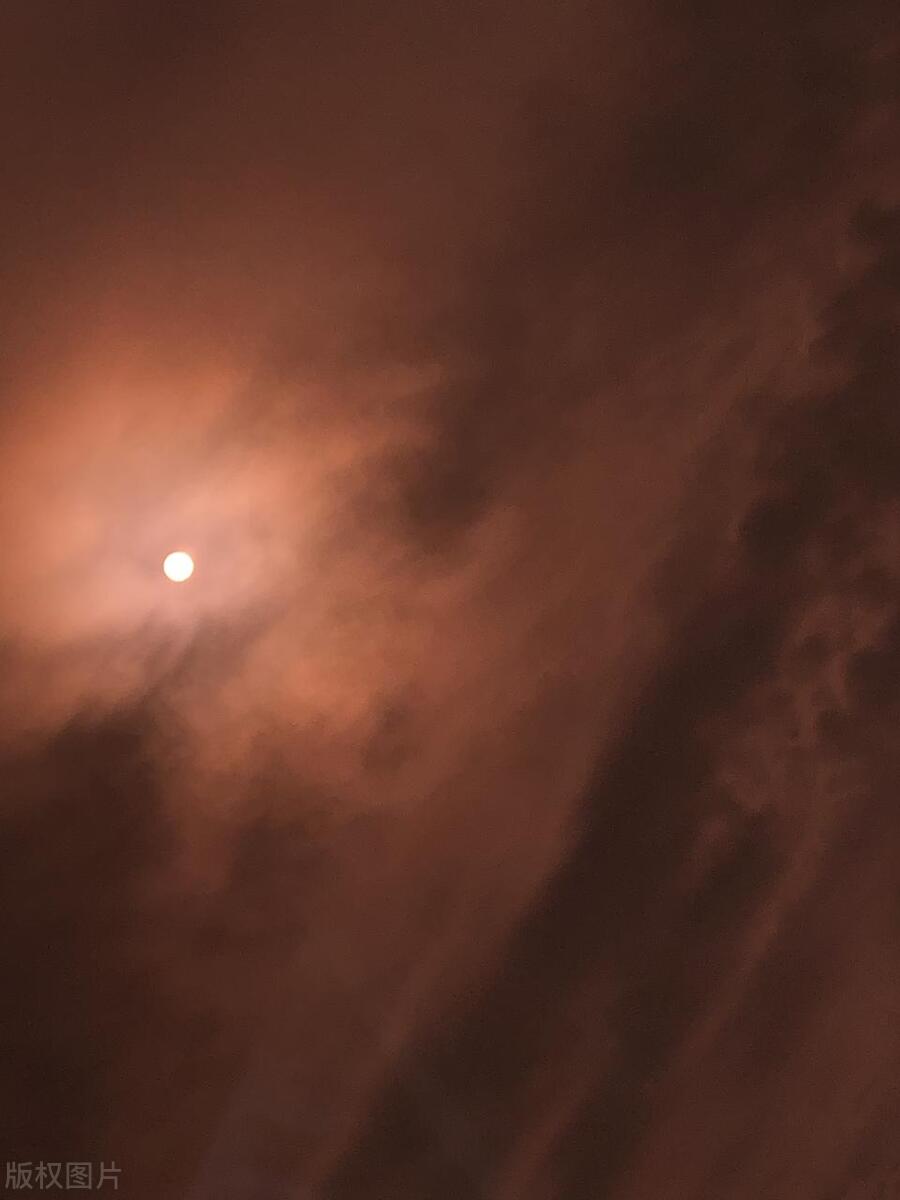 我当然不能和ChatGPT比写诗歌，我不再渴望写诗歌了，激情褪去了