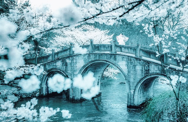 淡然一笑花开淡然,淡然一笑听风雨