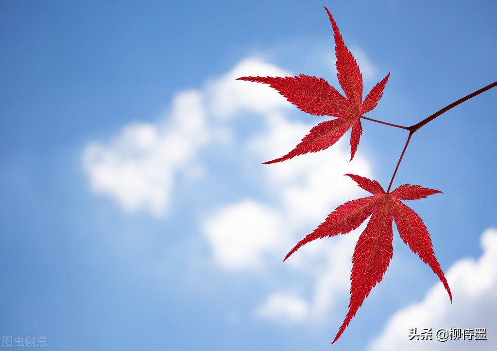 拍照不好看只要学会这些小技巧,摄影大师教你拍照技巧