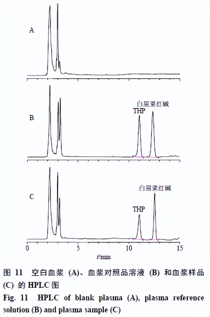 延胡索乙素磷脂复合物及其固体分散体、油制剂、纳米混悬剂的制备