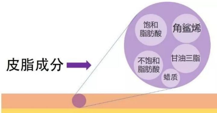 2022年国际护肤品牌成分排名,强效补水护肤品成分测评