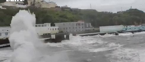 浙江联通：今年最强，“梅花”登陆！