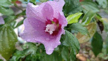 拆解为15个操作步骤，在头条小组关联话题发文，你还觉得复杂吗？