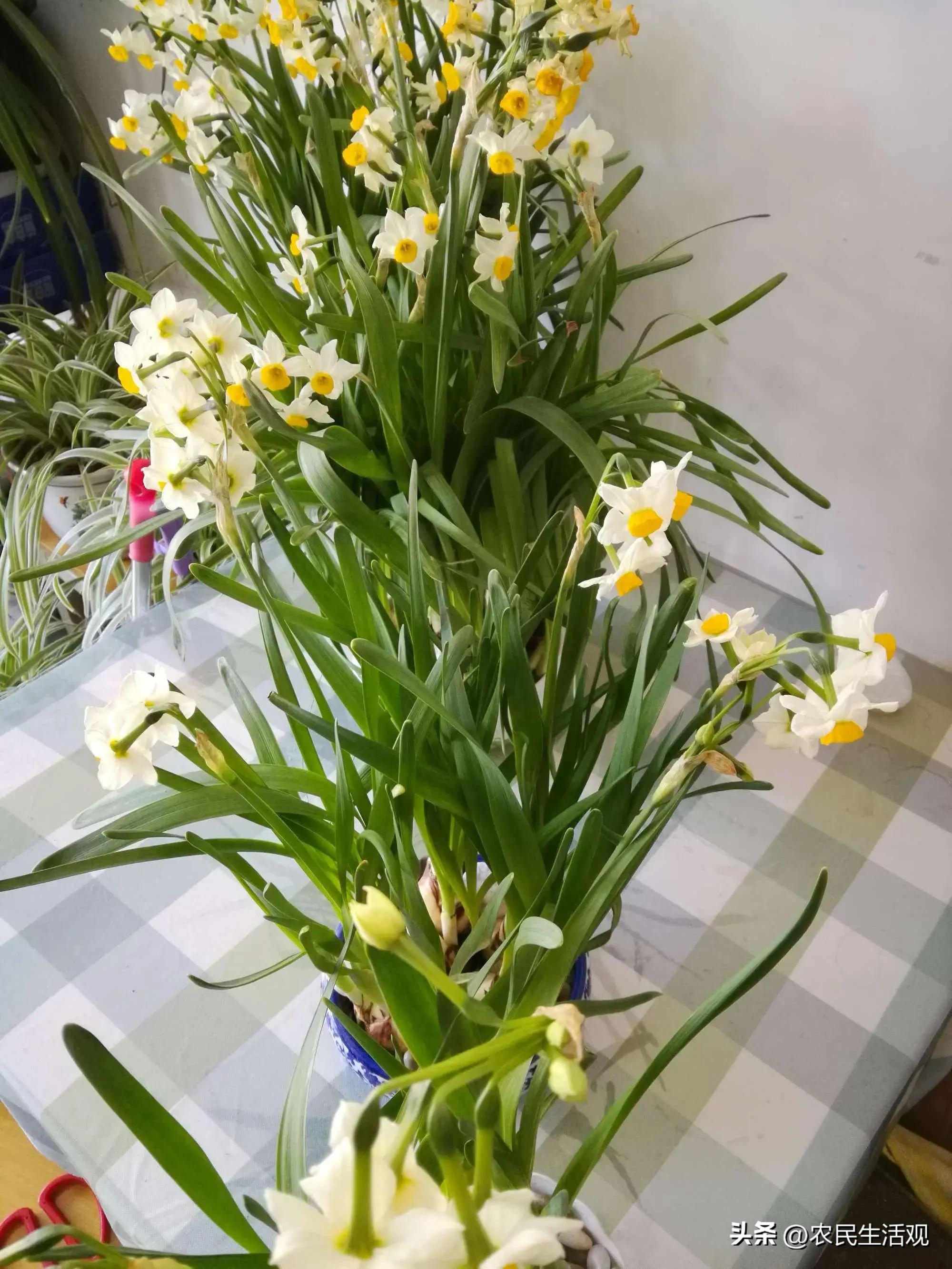 六害俗语,农村俗语害人之心不可有