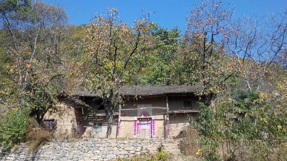 赶秋完整版,赶秋