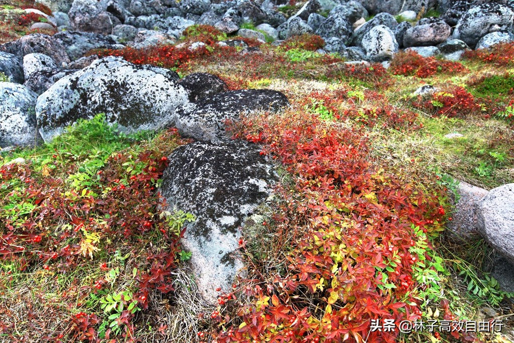 俄罗斯一月追极光攻略,俄罗斯追极光的地方