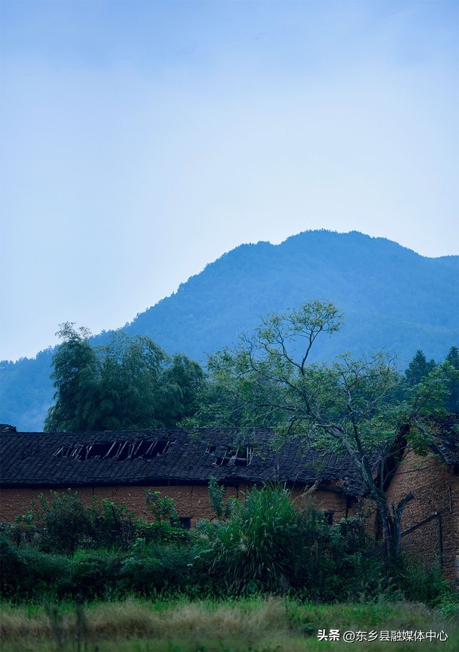 秋天丰收的雅称大全,秋天的雅称有哪几种