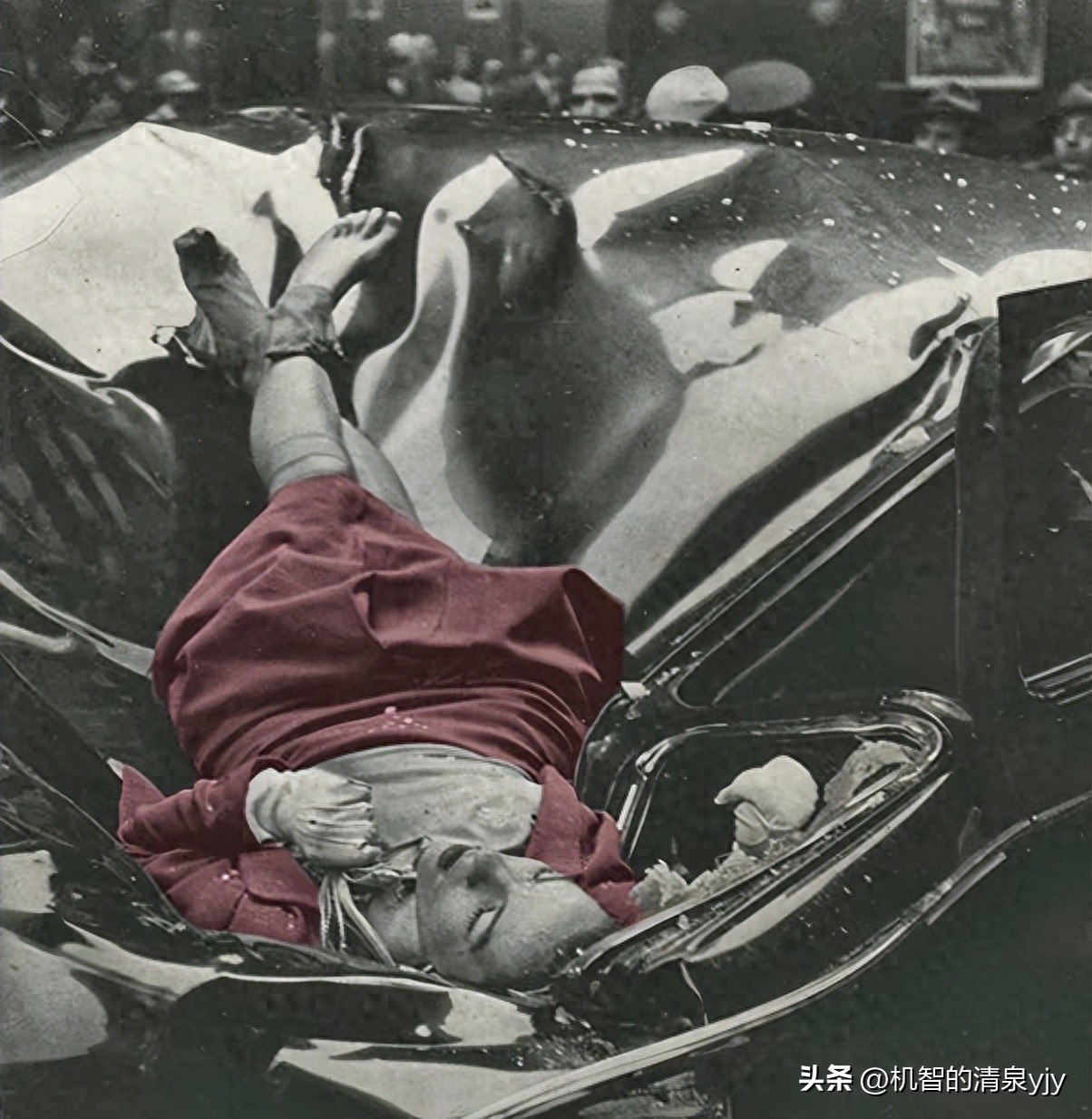 30张活久见的照片世界太奇妙了,25张有趣的照片展示神奇的世界