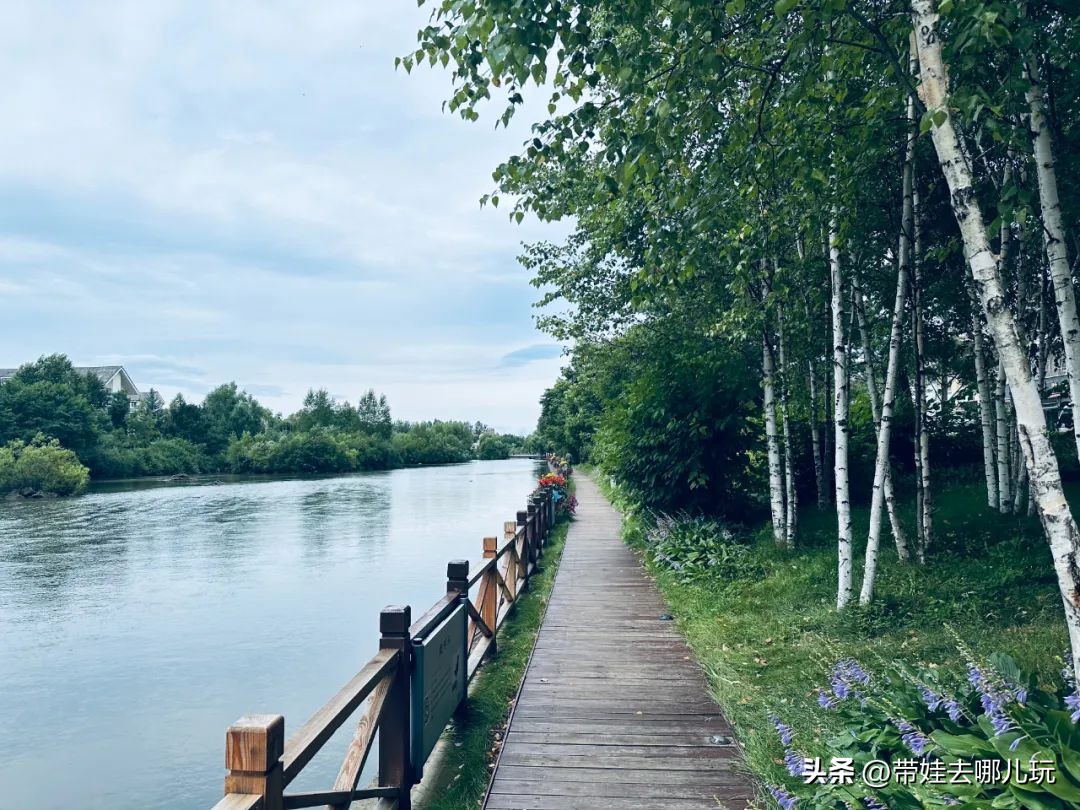 长白山二道白河旅游攻略7月游,自驾二道白河长白山旅游攻略