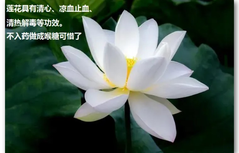 龙角散，对，怪中国人买你家的糖了