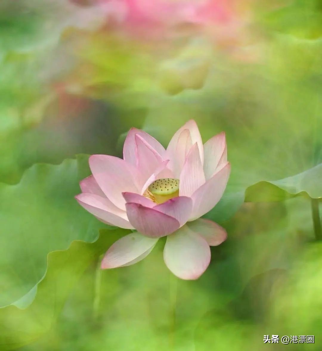 踏遍万水千山饱览各种景观,踏遍美丽的地方