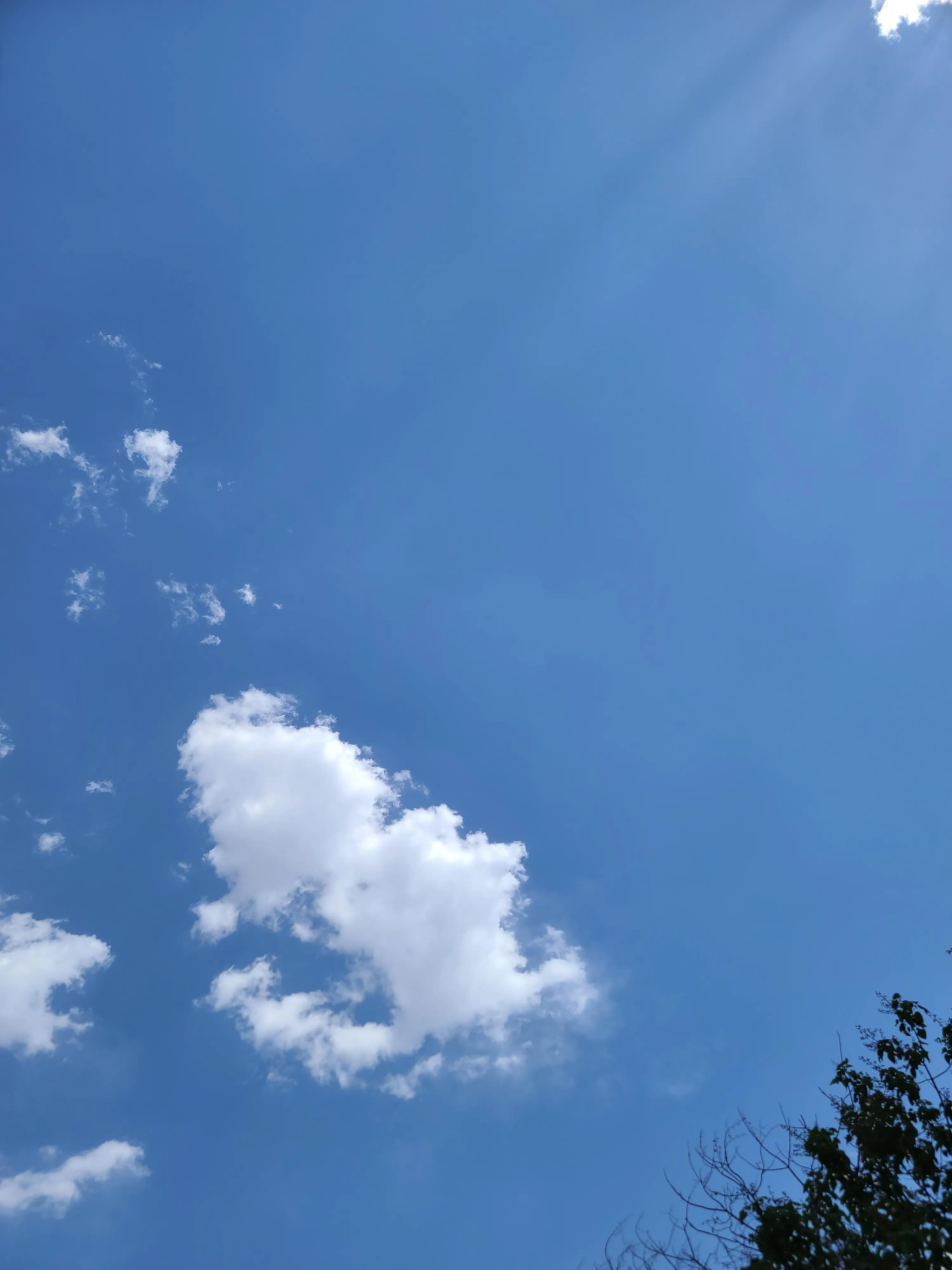 三星s20ultra拍照效果图,三星note20ultra前置摄像头