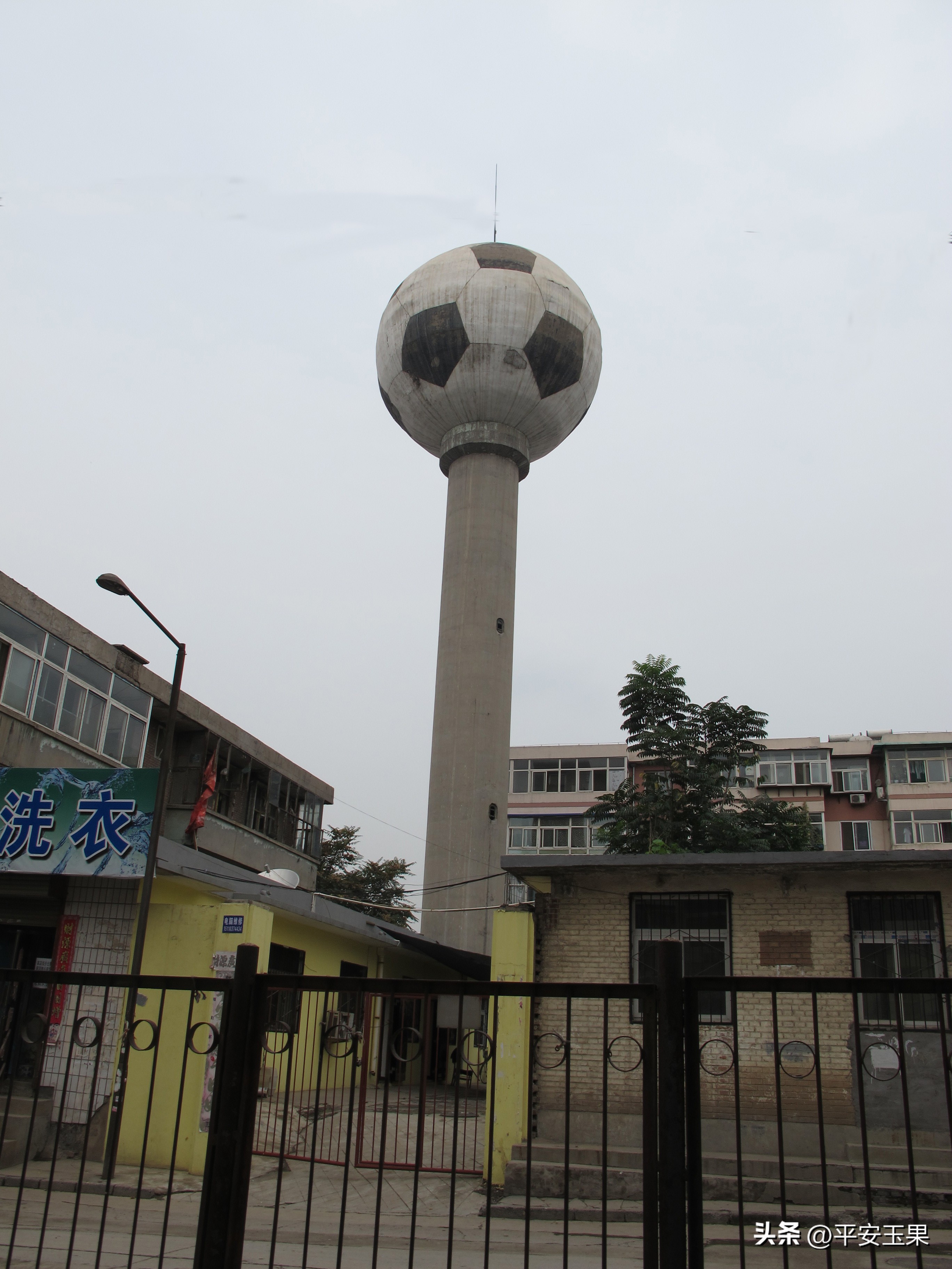 一个代号“茶杯”工程出台始末