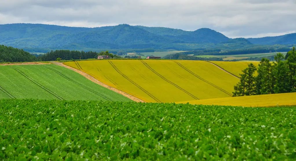 诗词丨诗词中最美的40句妙联佳对,句句动人,惊艳千年!