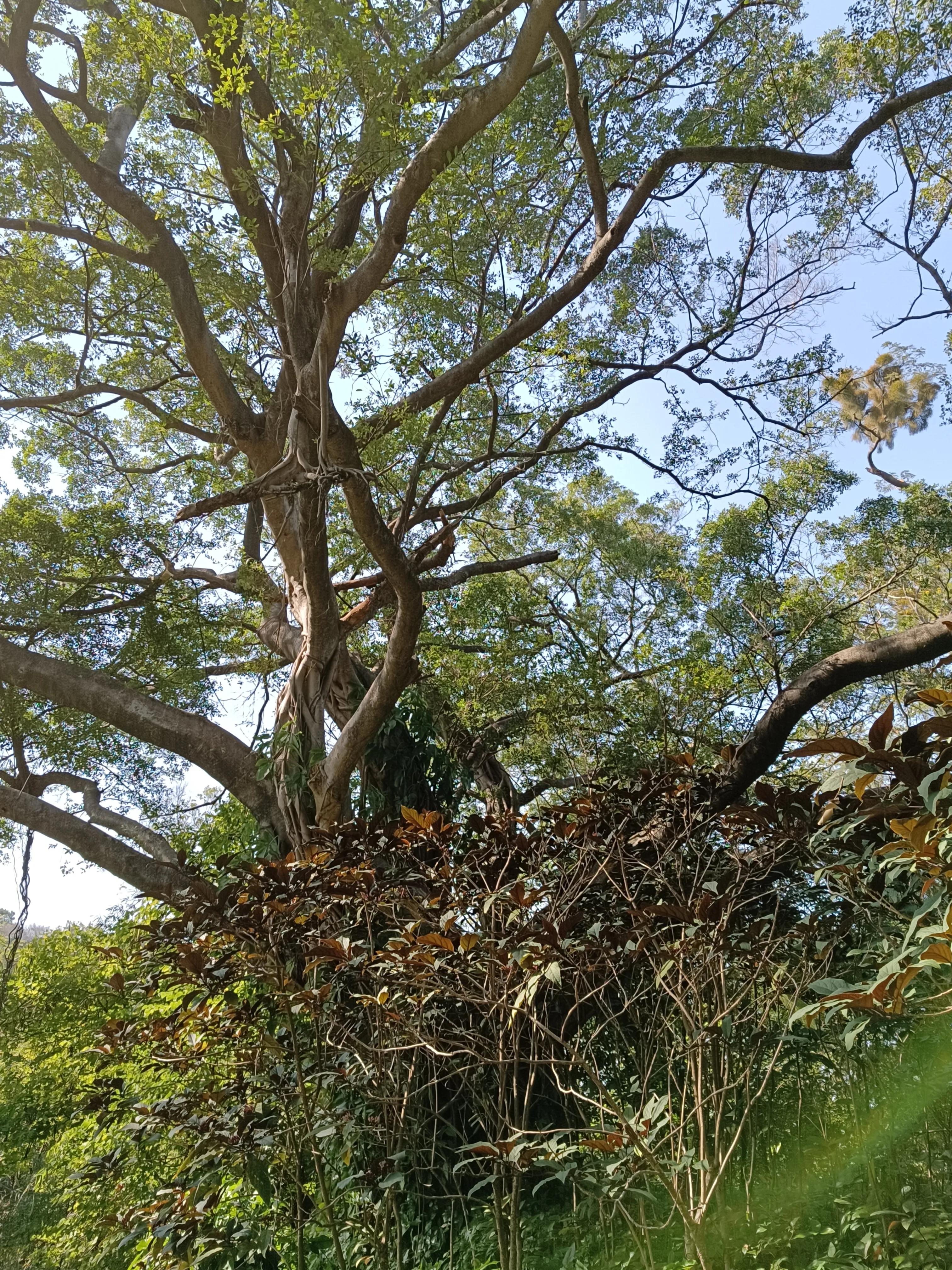 参观广州粤剧博物馆心得,广州旅游全攻略解说