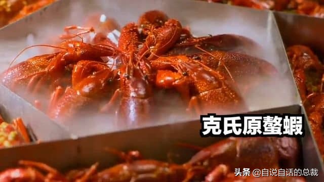 龙虾青龙和花龙区别,龙虾也是生物为什么我们要吃它