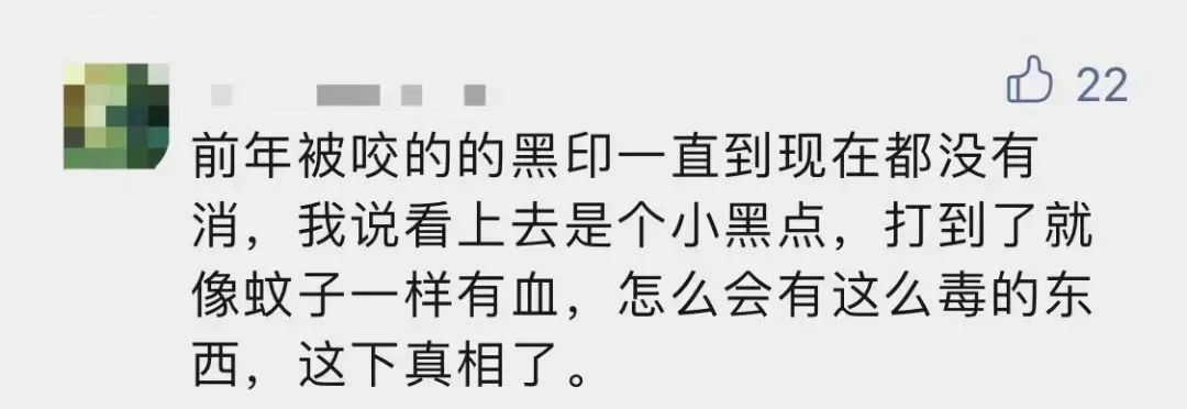 去公园可怕的虫子,去公园如何避免蚊虫叮咬