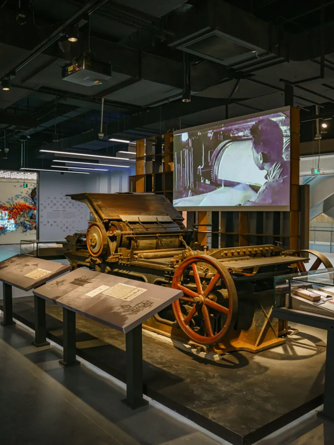 魔都自然博物馆,魔都的博物馆真的很有看头