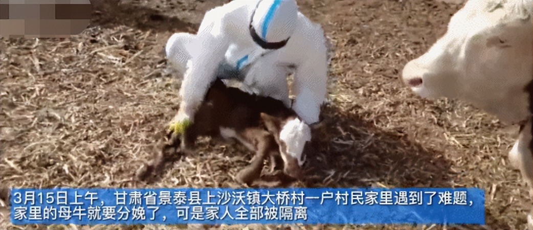 行云流水回马枪,当防疫人员会武功