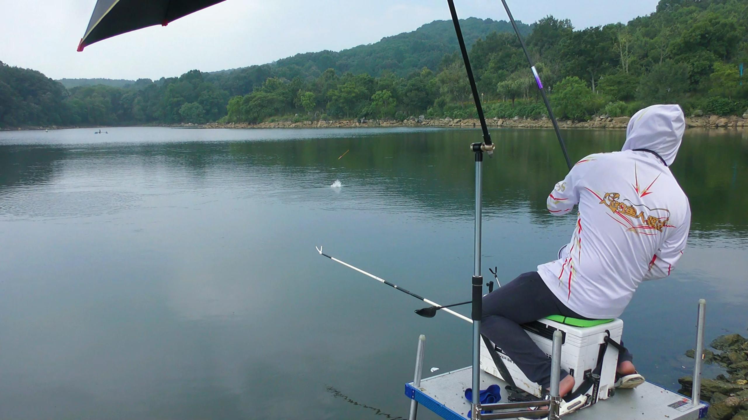 鱼儿无缘无故死掉是怎么回事,鱼停口不上钩怎么办