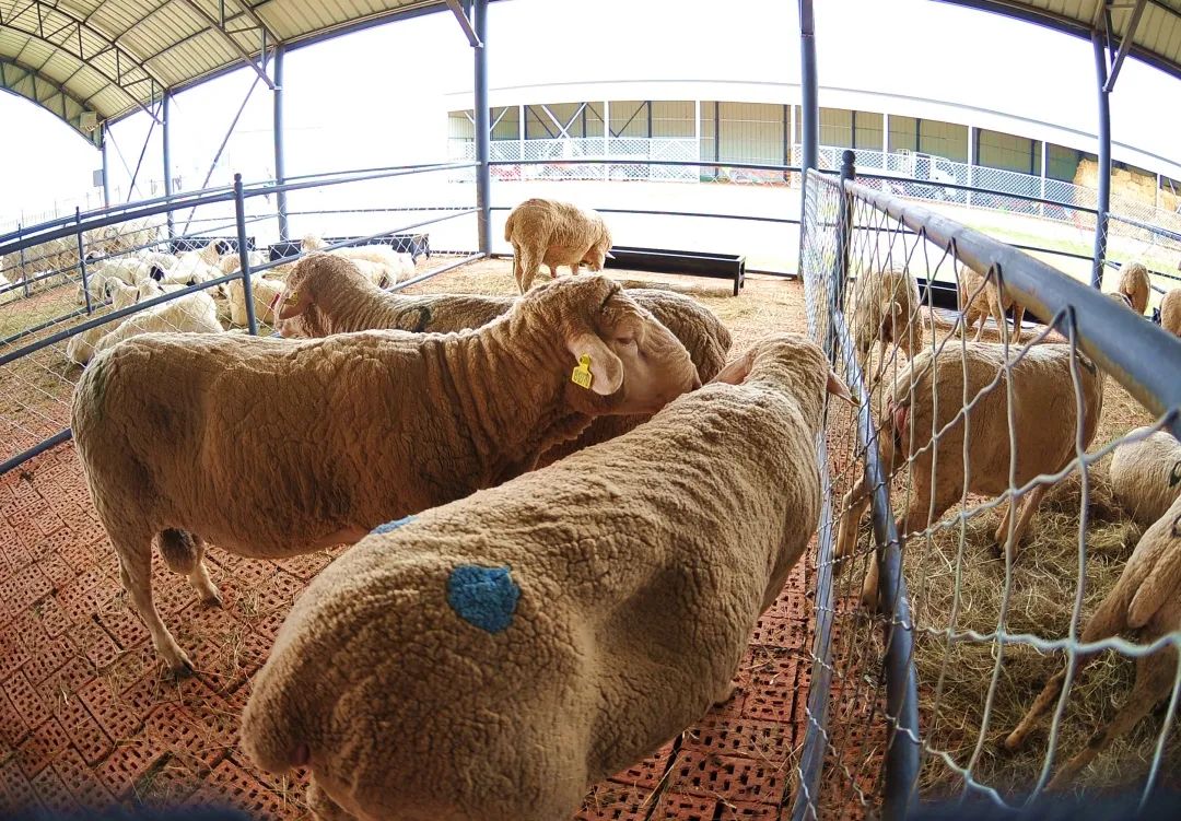 非凡成就伟大变革,非凡成就这十年