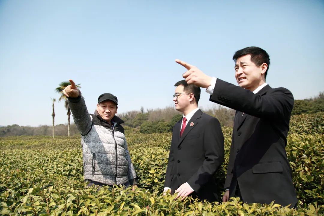 浙江省知识产权保护十大典型案例,检察院保护知识产权典型案例进展