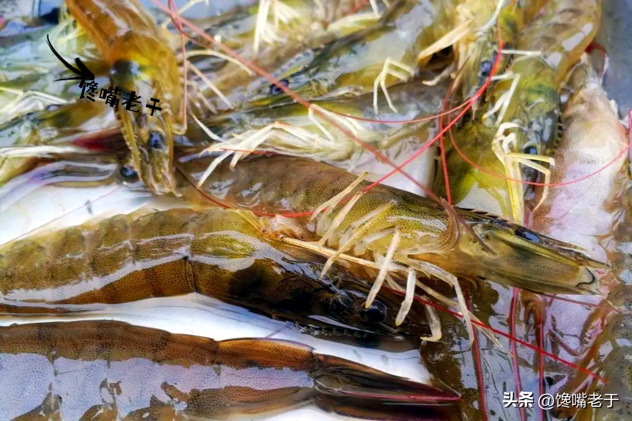 买虾不可以挑大小吗,买虾怎么挑选最好