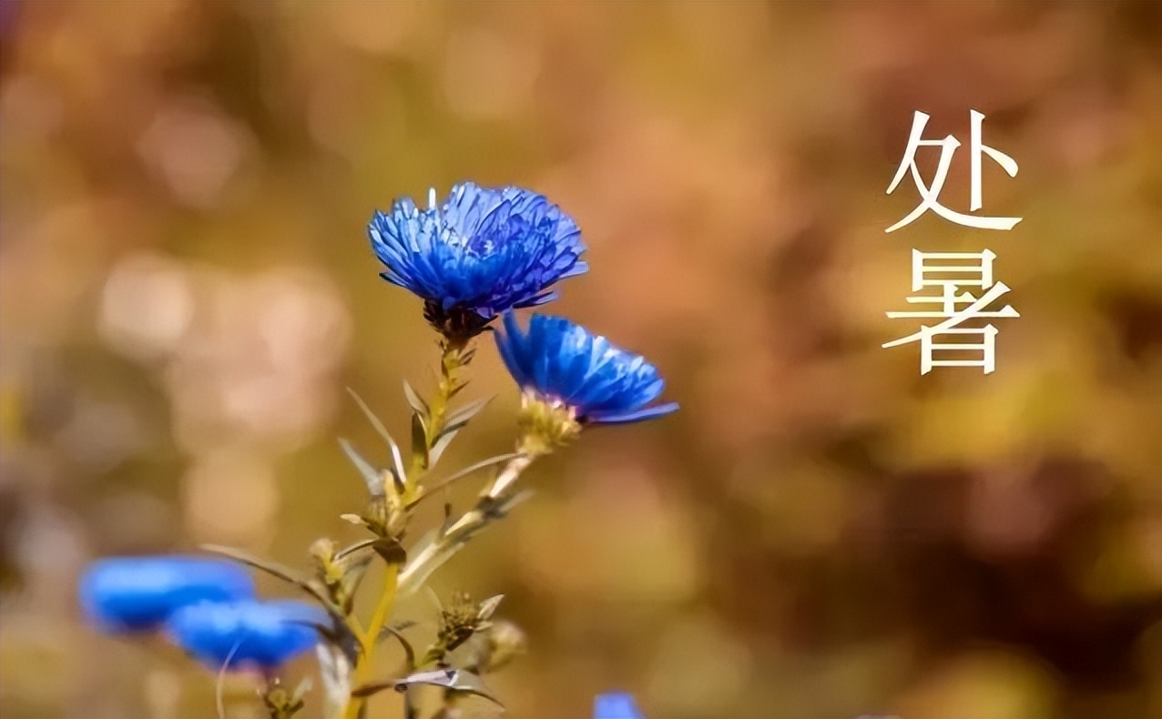 道家治愈高血压的音乐,高血压养生音乐