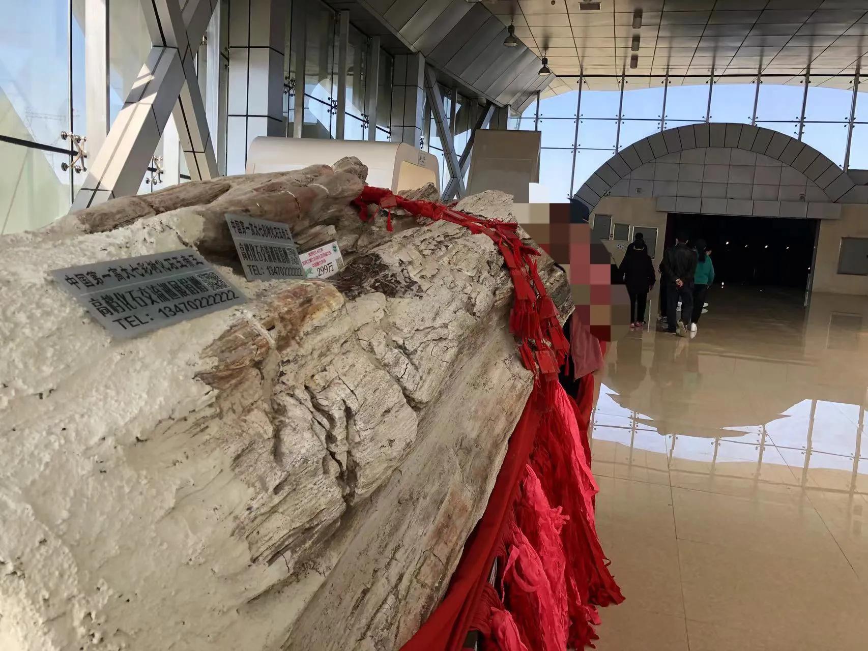 辽西自驾游一日游攻略,辽西自驾游一日游