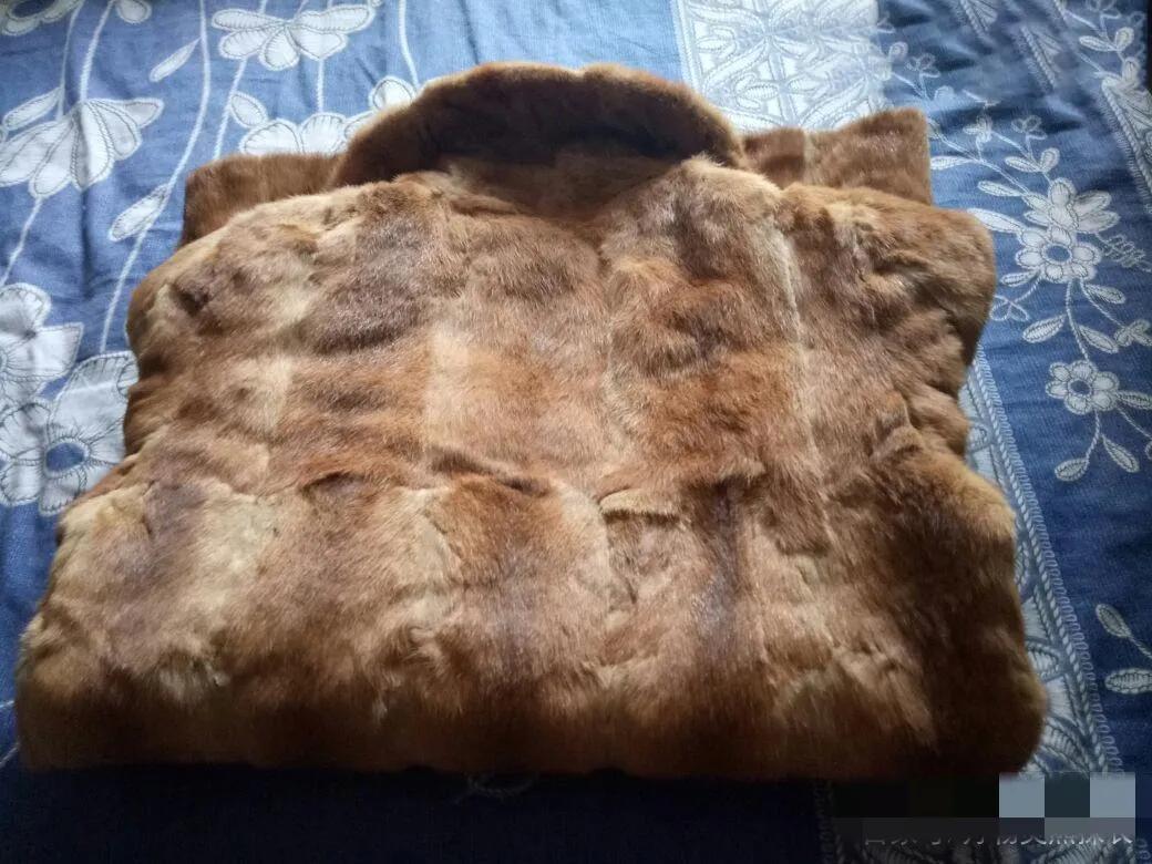 偷吃鸡的黄鼠狼也是保护动物吗,黄鼠狼是被保护的野生动物吗