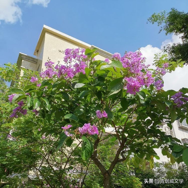 鹧鸪天诗词大全,鹧鸪天咏秋的原创诗词