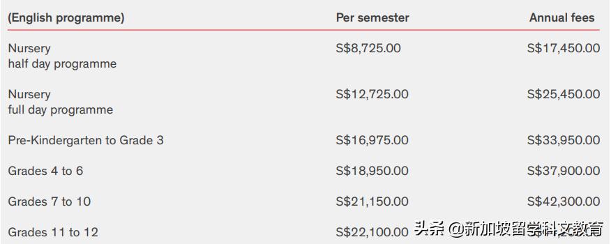 小文带你走进不一样的世界,新加坡国际学校和英国国际学校